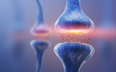 Neurotransmitters; wat zijn dat eigenlijk?